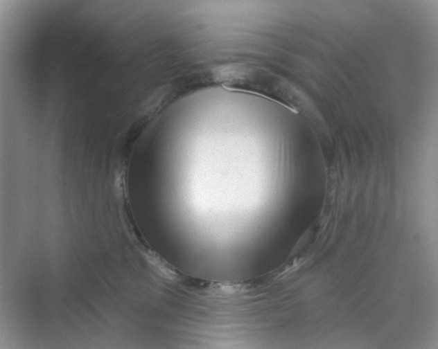 X0000069790329200606091749