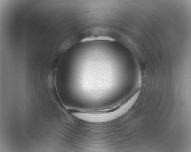 X0000069790333200606091749