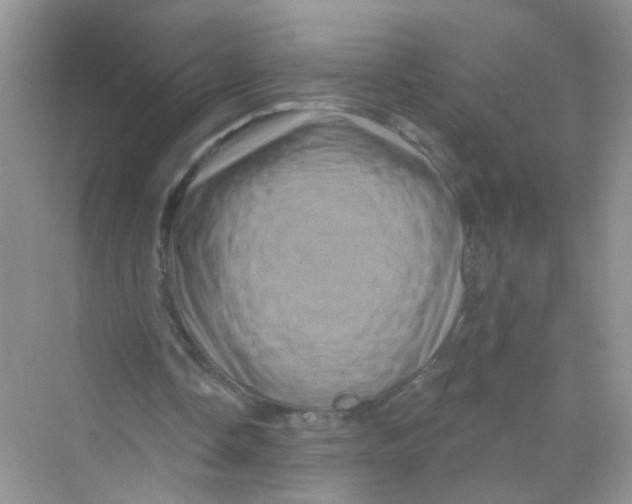 X0000069790338200606091748