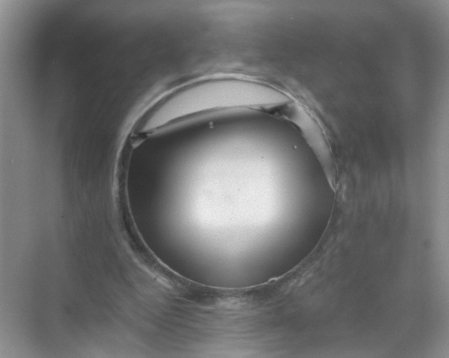 X0000069790344200606091749