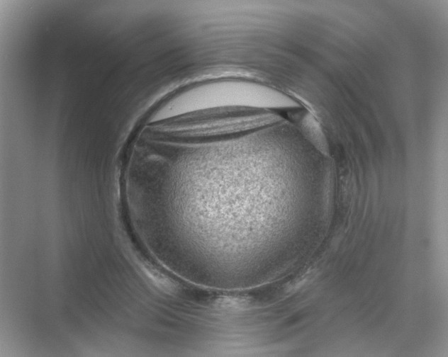 X0000069790350200606091749