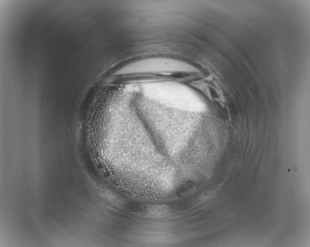 X0000069790355200606091749