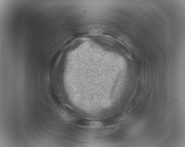 X0000069790363200606091749