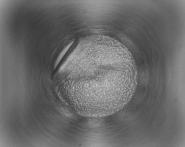 X0000069790373200606091749