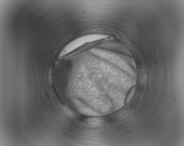X0000069790378200606091749