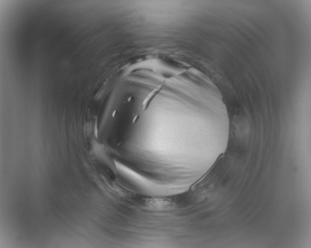 X0000069790380200606091749