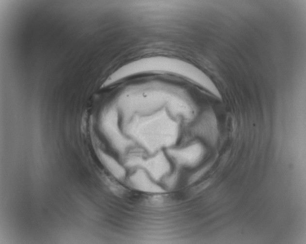 X0000069790382200606091749
