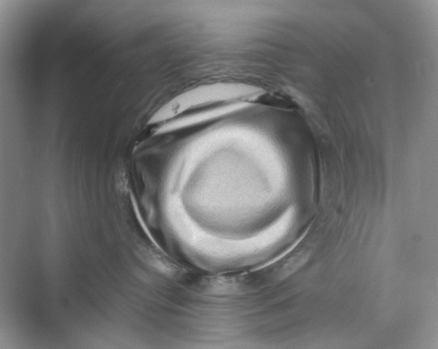 X0000069790384200606091749