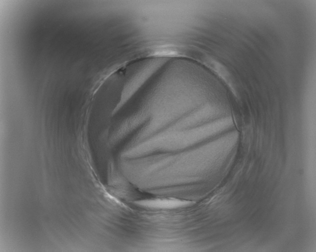 X0000069790385200606091748