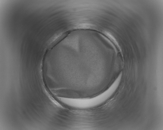 X0000069790389200606091748