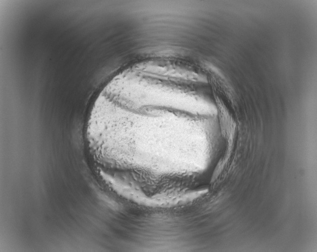 X0000069790394200606091748