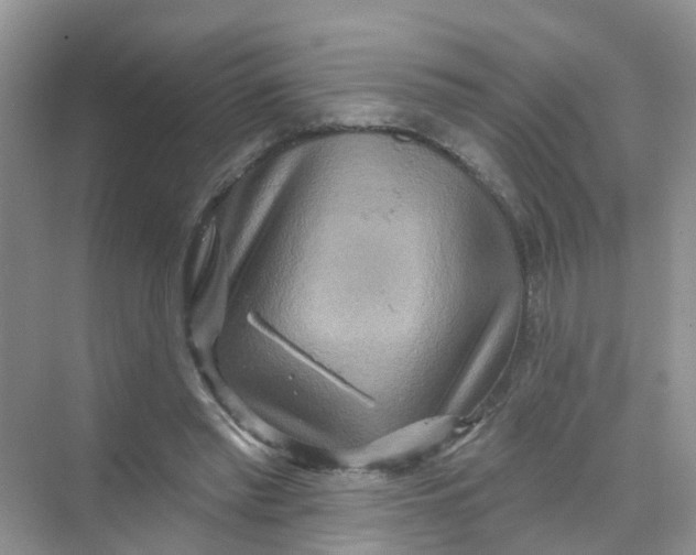 X0000069790397200606091748