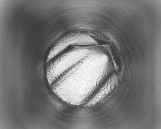 X0000069790398200606091748