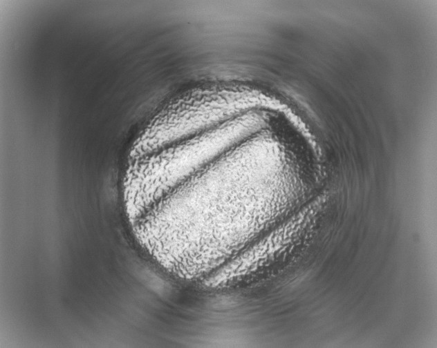 X0000069790402200606091748
