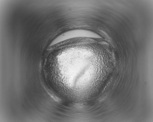 X0000069790405200606091748