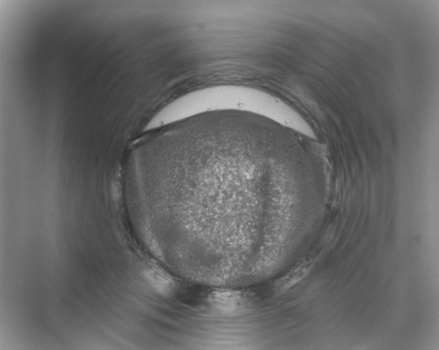 X0000069790413200606091748