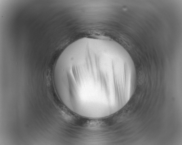 X0000069790414200606091748