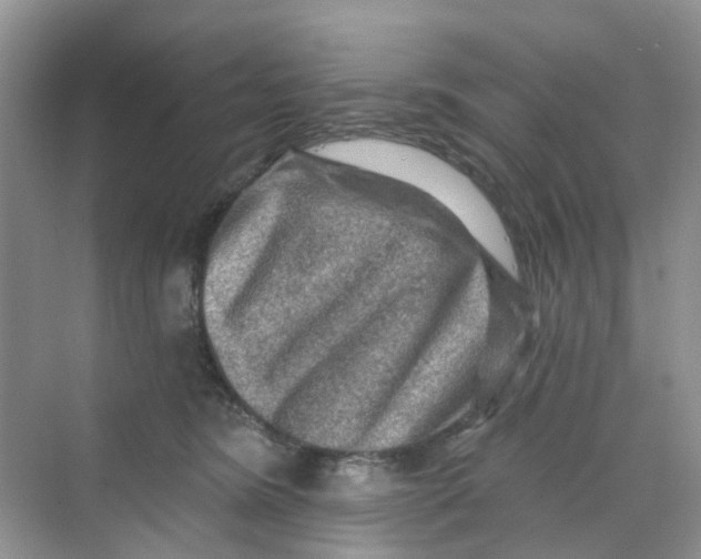 X0000069790420200606091748