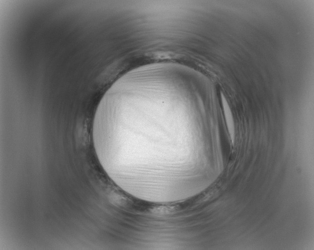 X0000069790422200606091748