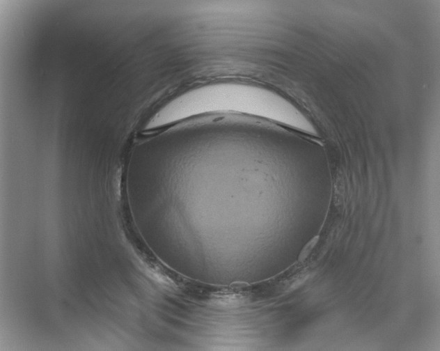 X0000069790454200606091747