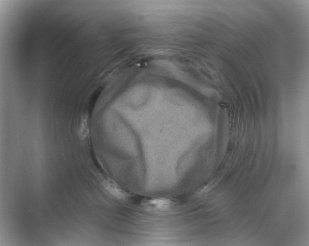 X0000069790478200606091748