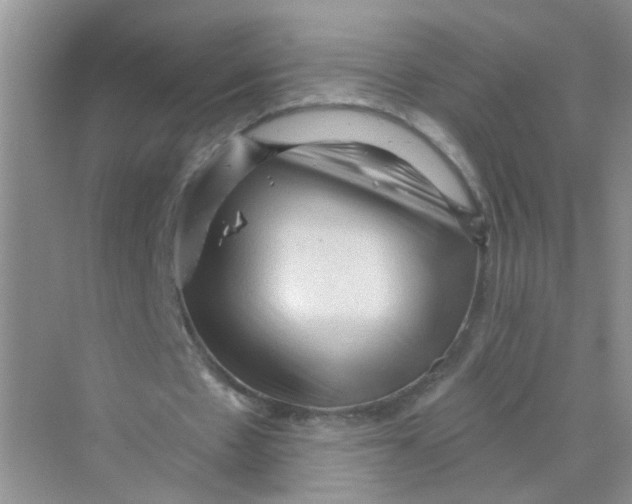 X0000069790481200606091747