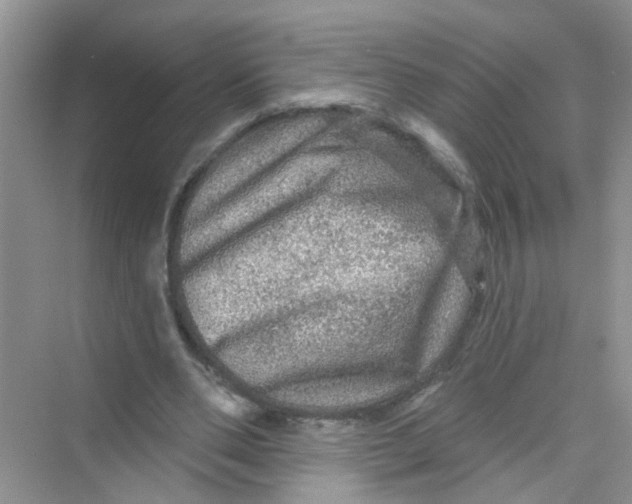 X0000069790486200606091747