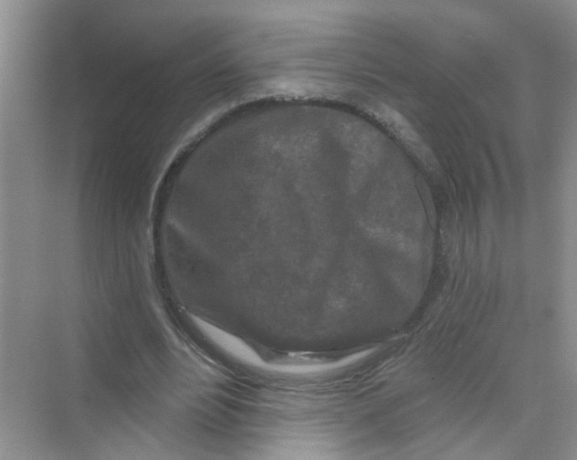 X0000069790488200606091747