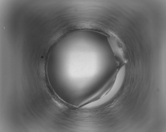 X0000069790489200606091747