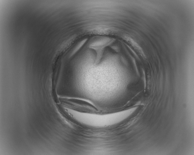 X0000069790493200606091747