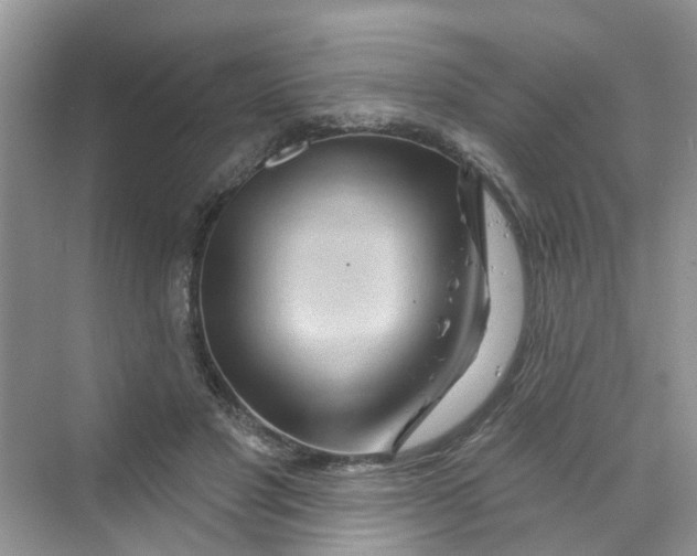X0000069790501200606091746