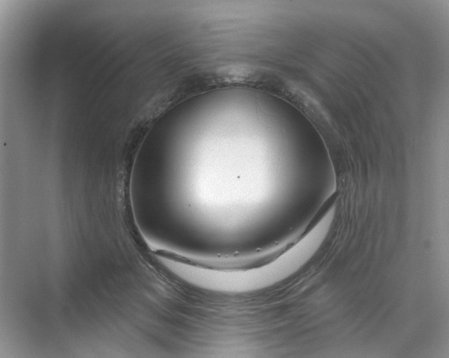 X0000069790509200606091746