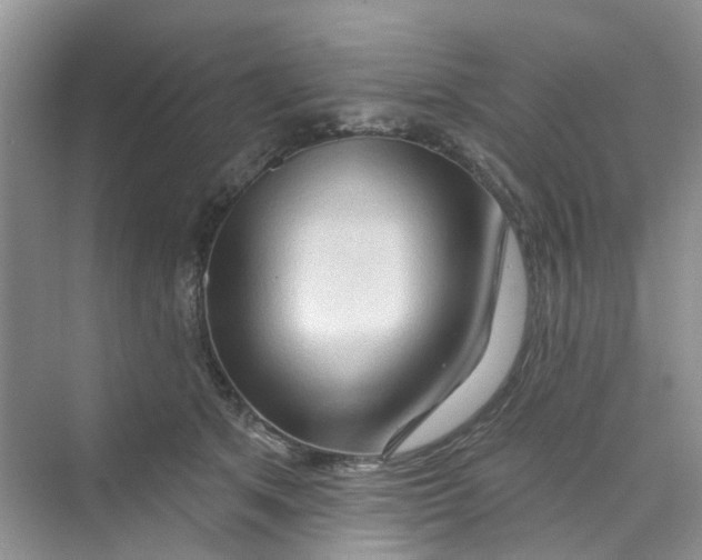 X0000069790513200606091746