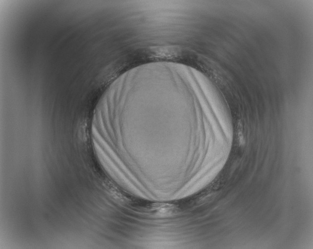 X0000069790514200606091746