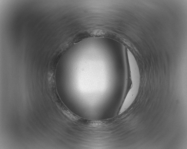 X0000069790521200606091746