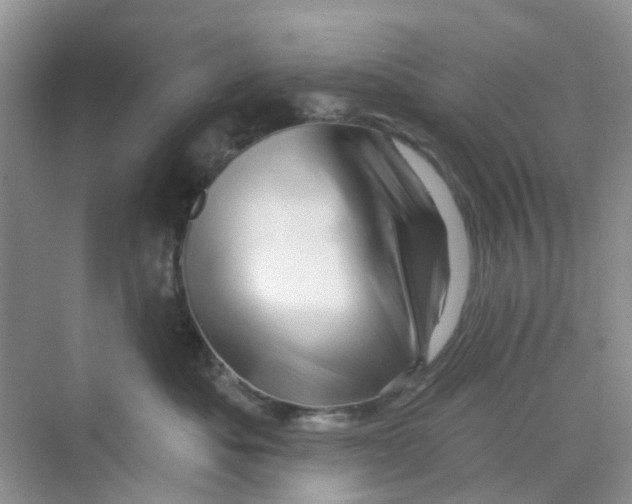 X0000069790525200606091746