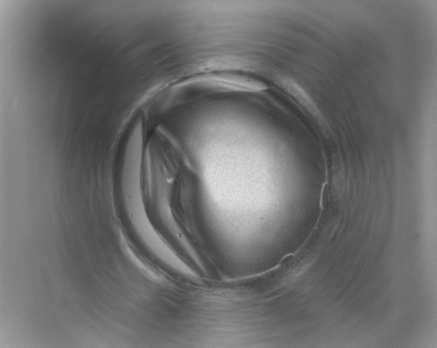 X0000069790530200606091745