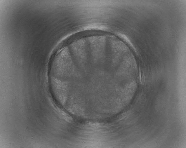 X0000069790531200606091745