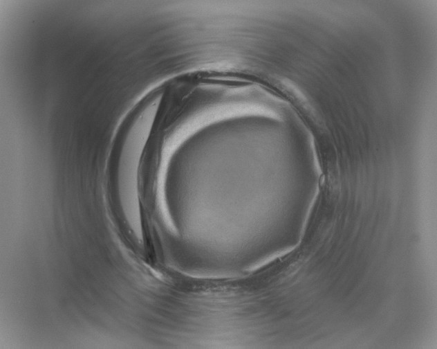 X0000069790532200606091745