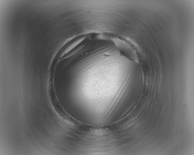 X0000069790540200606091745