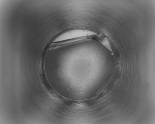 X0000069790548200606091745