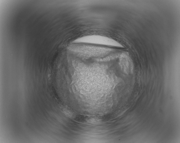 X0000069790561200606091746
