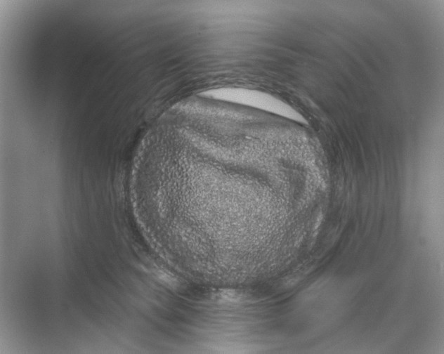 X0000069790565200606091746