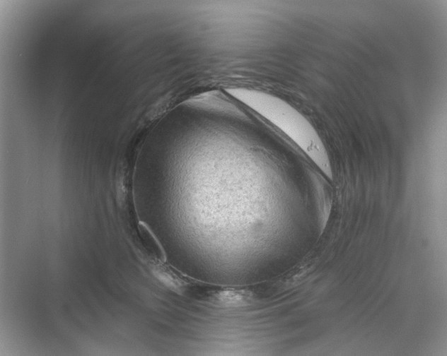 X0000069790566200606091746