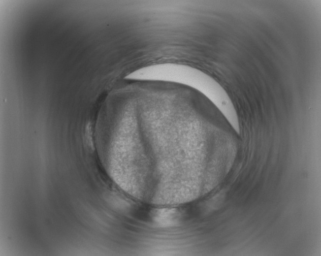 X0000069790575200606091746