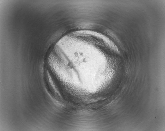 X0000069790586200606091745