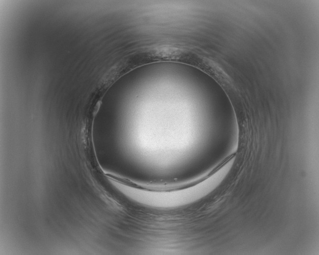 X0000069790597200606091745
