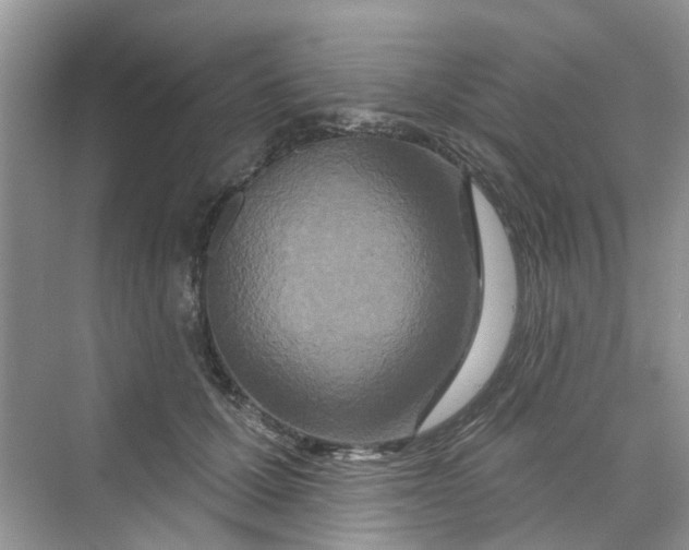 X0000069790607200606091745