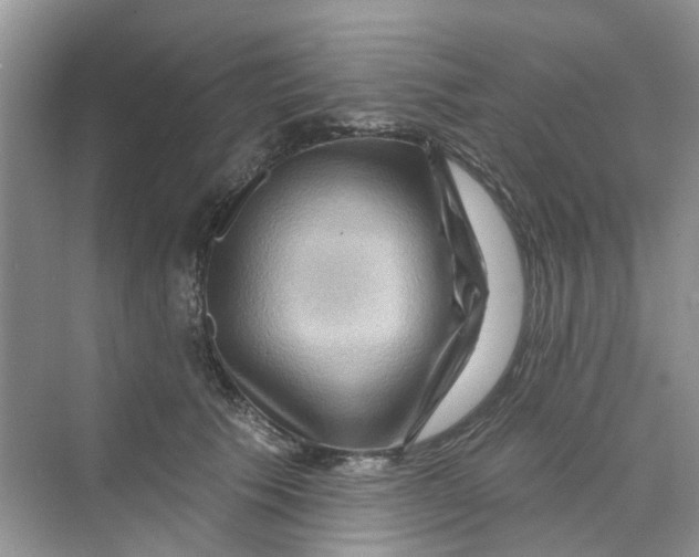 X0000069790609200606091745
