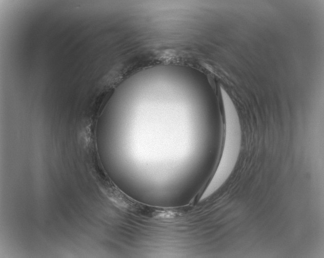 X0000069790611200606091745